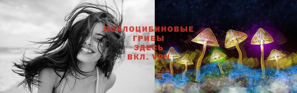 бутик Гусев