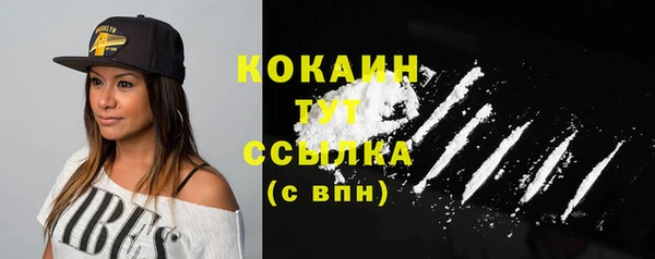 ПСИЛОЦИБИНОВЫЕ ГРИБЫ Горняк