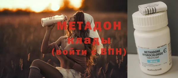 ПСИЛОЦИБИНОВЫЕ ГРИБЫ Горняк