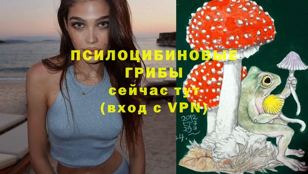 ПСИЛОЦИБИНОВЫЕ ГРИБЫ Горняк