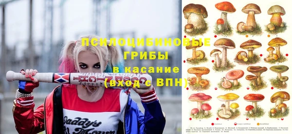 круглые Горно-Алтайск