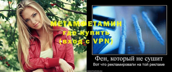 ПСИЛОЦИБИНОВЫЕ ГРИБЫ Горняк