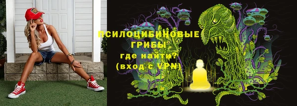 ПСИЛОЦИБИНОВЫЕ ГРИБЫ Горняк