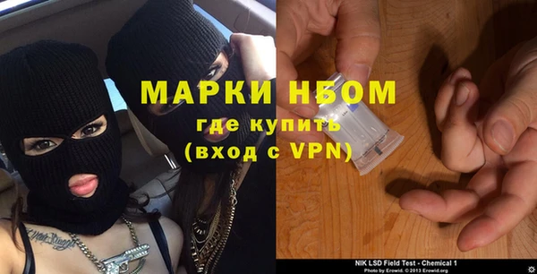 ПСИЛОЦИБИНОВЫЕ ГРИБЫ Горняк