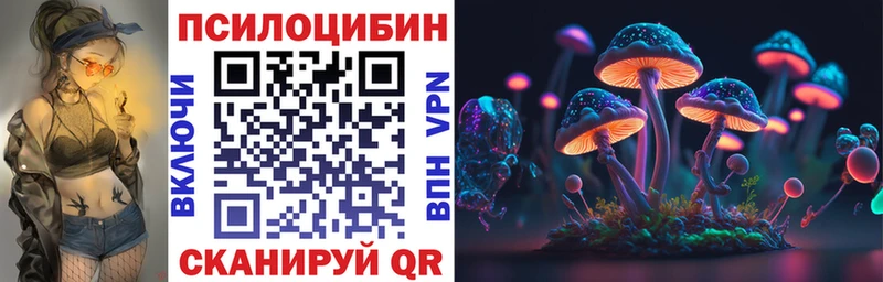 Псилоцибиновые грибы Cubensis  Купить  Циолковский 