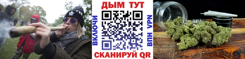 Купить закладки  Циолковский  Канабис планчик 